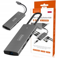 Zenwire Hub 9in1 USB Hub HDMI 4K RJ45 Adapter SD-kaardi lugeja hind ja info | USB jagajad, adapterid | kaup24.ee