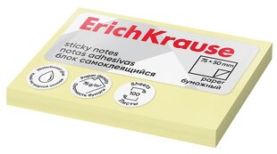 Märkmepaberid ErichKrause, 50x75mm, 100 lehte hind ja info | Kirjatarbed | kaup24.ee