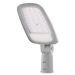 Led tänavavalgusti Solis 30W 3600lm NW hind ja info | Aia- ja õuevalgustid | kaup24.ee