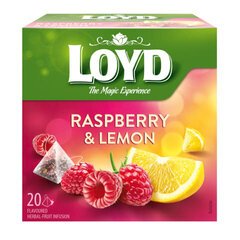 Фруктовый чай Loyd с малиной и лимоном, 20 x 2 г цена и информация | Чай | kaup24.ee