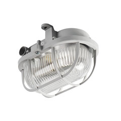 Овальный светильник с сеткой MILO 7040T/P цена и информация | Потолочные светильники | kaup24.ee