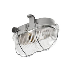 Овальный светильник с сеткой MILO 7040T цена и информация | Потолочные светильники | kaup24.ee