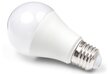 LED-pirn E27 15W, 6000K цена и информация | Lambipirnid, lambid | kaup24.ee