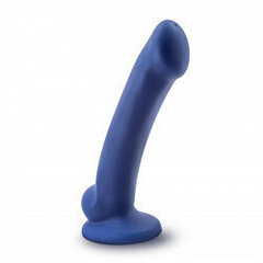 Dildo Avant Ergo Mini Dildo, sinine hind ja info | Dildod | kaup24.ee