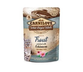 Carnilove Trout Echinacea teraviljavaba, märgtoit kassidele, 85 g x 12 hind ja info | Konservid kassidele | kaup24.ee