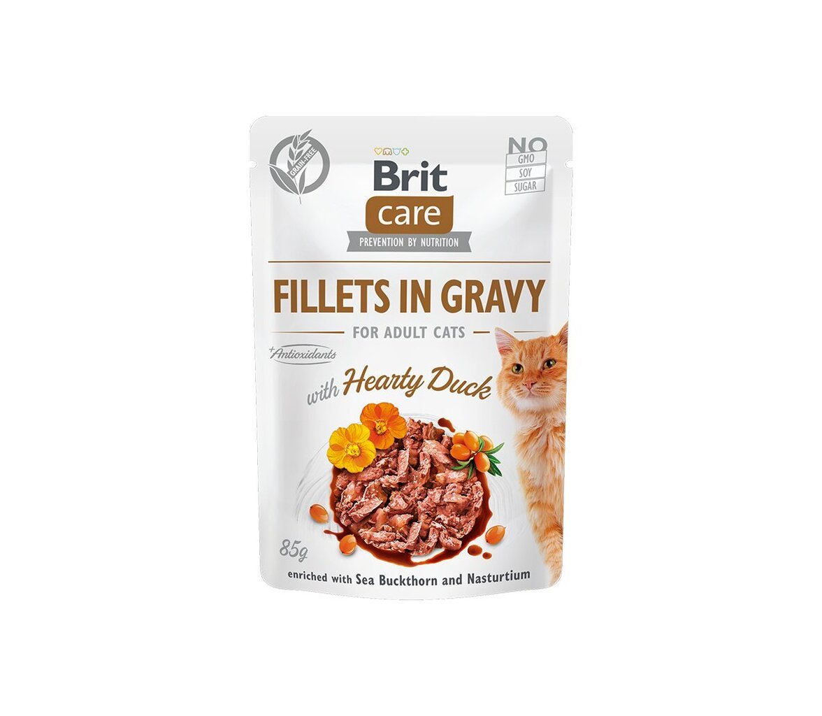 Brit Care Fillets in Gravy Hearty Duck märgtoit kassidele, 85 g x 12 цена и информация | Konservid kassidele | kaup24.ee