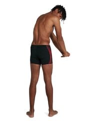 Ujumispüksid meestele Speedo hind ja info | Ujumispüksid, shortsid | kaup24.ee