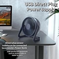 Настольный большой USB-вентилятор цена и информация | Вентиляторы | kaup24.ee