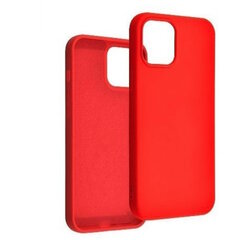 Riff Тонкий & Мягкий силиконовый чехол с мягкой подкладкой для Apple iPhone 13 Pro Red цена и информация | Чехлы для телефонов | kaup24.ee