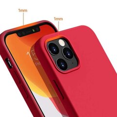 Riff Тонкий & Мягкий силиконовый чехол с мягкой подкладкой для Apple iPhone 15 Red цена и информация | Чехлы для телефонов | kaup24.ee