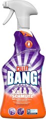 Cillit Bang спрей для ванной комнаты от известкового налета и грязи, 750 мл цена и информация | Очистители | kaup24.ee