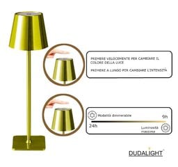 Перезаряжаемая светодиодная настольная лампа DUDALIGHT USB, золотая цена и информация | Настольные лампы | kaup24.ee