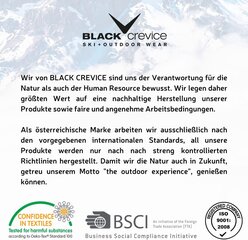 Black Crevice Лыжный шлем, M/L цена и информация | Лыжные шлемы | kaup24.ee