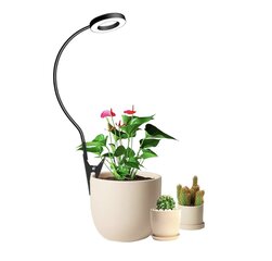 Wolezek ‎BL-C10A Лампа для выращивания комнатных растений цена и информация | Проращиватели, лампы для растений | kaup24.ee