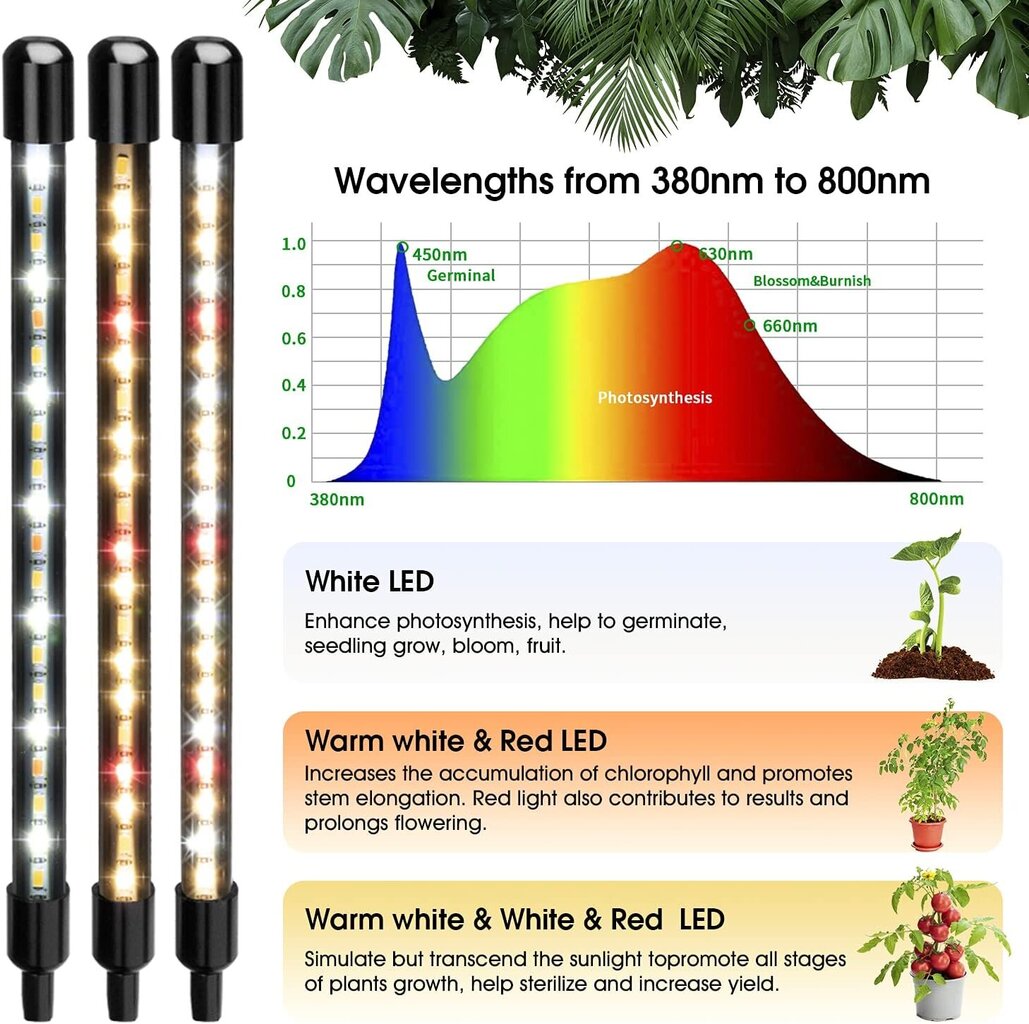 Wolezek BL-C80A LED taimelamp hind ja info | Nutipotid ja taimelambid | kaup24.ee