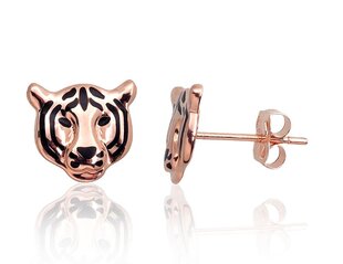 Золотые серьги для женщин Diamond Sky "Tiger" DS02A962 цена и информация | Серьги | kaup24.ee