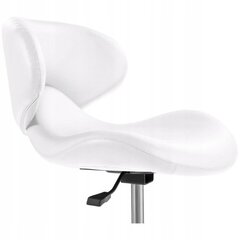 Кресло Physa Andria Cosmetic, белый цена и информация | Мебель для салонов красоты | kaup24.ee
