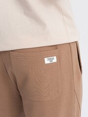 брюки мужские - коричневые v2 om-pabs-0173 125465-7 цена и информация | Мужские брюки | kaup24.ee