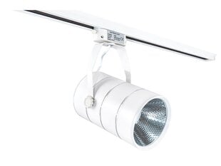 LED kauplusevalgusti Steka 30W, valge hind ja info | Rippvalgustid | kaup24.ee