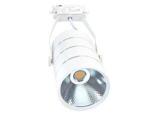 LED kauplusevalgusti Steka 30W, valge hind ja info | Rippvalgustid | kaup24.ee