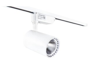 LED kauplusevalgusti Steka Ver.E 30W, valge hind ja info | Rippvalgustid | kaup24.ee