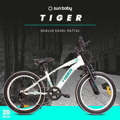 Rower 20 cali dla chłopca Tiger Bike Shimano RevoShift 6 biegowy biały цена и информация | Велосипеды | kaup24.ee