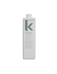 Питательный шампунь для волос Kevin Murphy Blow Dry Wash, 1000 мл цена и информация | Шампуни | kaup24.ee