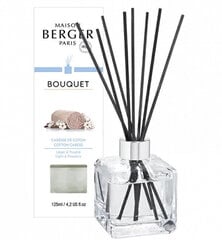 Kodulõhna komplekt pulkadega Maison Berger Paris Bouquet: difuusor Bolero Cube + täide Cotton Caress, 125 ml hind ja info | Kodulõhnastajad | kaup24.ee