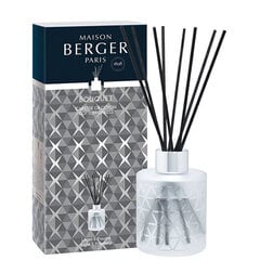 Домашний аромат с палочками Maison Berger Paris Bouquet Cotton Caress Light &amp; Powdery, 115 мл цена и информация | Ароматы для дома | kaup24.ee