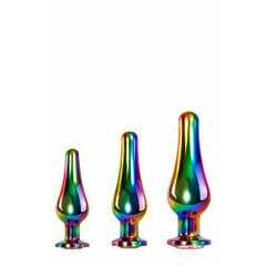 EVOLVED RAINBOW METAL PLUG SET цена и информация | Анальные игрушки | kaup24.ee