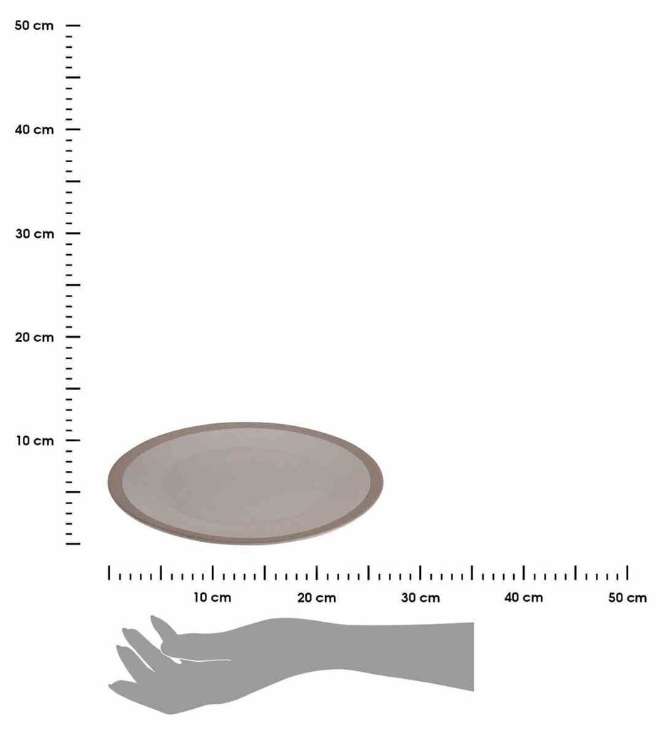 Taldrik, 26,5 cm hind ja info | Lauanõud ja kööginõud | kaup24.ee