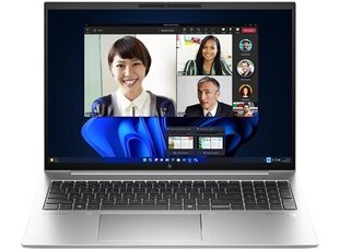 HP EliteBook 860 G11 (9G079ET) hind ja info | Sülearvutid | kaup24.ee