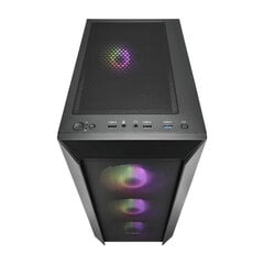 FSP Fortron CMT218 RGB (POC0000214) hind ja info | Arvutikorpused | kaup24.ee