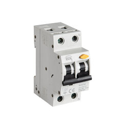 Автоматический выключатель KRO6 2P B20 30mA AC Ideal цена и информация | Выключатели, розетки | kaup24.ee