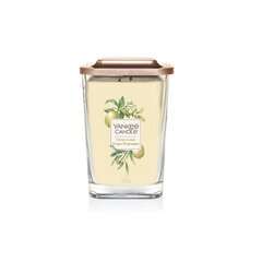 Yankee Candle Aromatinė didelė žvakė "Citrus Grove" 552 g цена и информация | Подсвечники, свечи | kaup24.ee