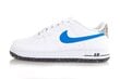 Nike AIR FORCE 1 LV8 GS DR3098-100 - Sportjalanõud, suurus 36.5 цена и информация | Naiste spordi- ja vabaajajalatsid | kaup24.ee