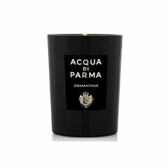 Acqua di Parma Osmanthus - küünal, 200 g hind ja info | Küünlad, küünlajalad | kaup24.ee