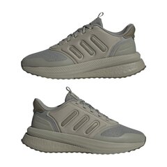 Spordijalatsid adidas X PLRPHASE ID04274066765526380 hind ja info | Spordi- ja vabaajajalatsid meestele | kaup24.ee