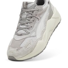 Cпортивная мужская обувь Puma RS-X Efekt Better With Age, белого цвета цена и информация | Кроссовки для мужчин | kaup24.ee