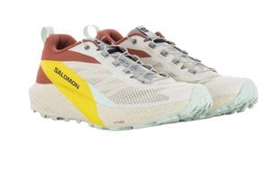 Salomon Sense Ride 5 meeste trailijooksujalatsid hind ja info | Spordi- ja vabaajajalatsid meestele | kaup24.ee