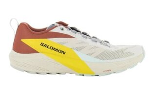 Salomon Sense Ride 5 meeste trailijooksujalatsid hind ja info | Spordi- ja vabaajajalatsid meestele | kaup24.ee