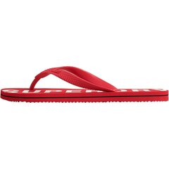 Meeste Superdry Code Essential Flip Flop flip flopid цена и информация | Мужские шлепанцы, босоножки | kaup24.ee