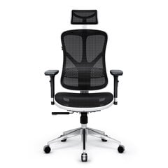 Эргономичное кресло Diablo V-Basic бело-черное цена и информация | Офисные кресла | kaup24.ee