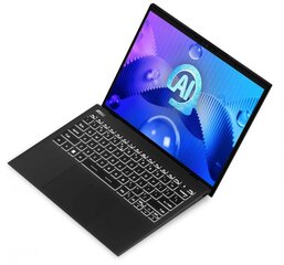 MSI Prestige 13 AI Evo A1MG-070PL (A1MG-070PL) цена и информация | Ноутбуки | kaup24.ee