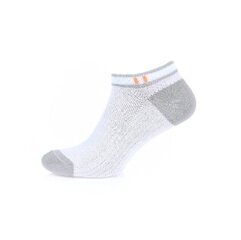 Мужские носки Ukraina L&R 222 11538_5585, белые/серые, 1 пара цена и информация | Мужские носки | kaup24.ee