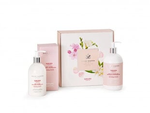 Acca Kappa Sakura Tokyo kingikomplekt: dušigeel 500 ml + kehapiim 300 ml цена и информация | Масла, гели для душа | kaup24.ee