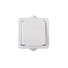 Kanlux Tekno white - одинарная заземленная розетка с защитой контактов N/T IP54 33496 цена и информация | Выключатели, розетки | kaup24.ee