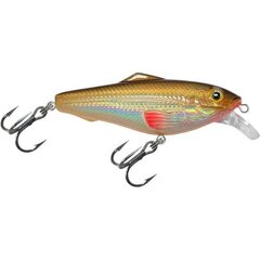 Vobler Aqua Fishing Tackle 75mm 018 hind ja info | Landid, voblerid | kaup24.ee