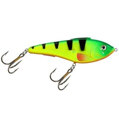 Vobler Aqua Fishing Tackle hind ja info | Landid, voblerid | kaup24.ee