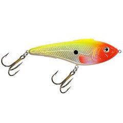 Vobler Aqua Fishing Tackle hind ja info | Landid, voblerid | kaup24.ee